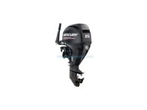 Mercury F 25
